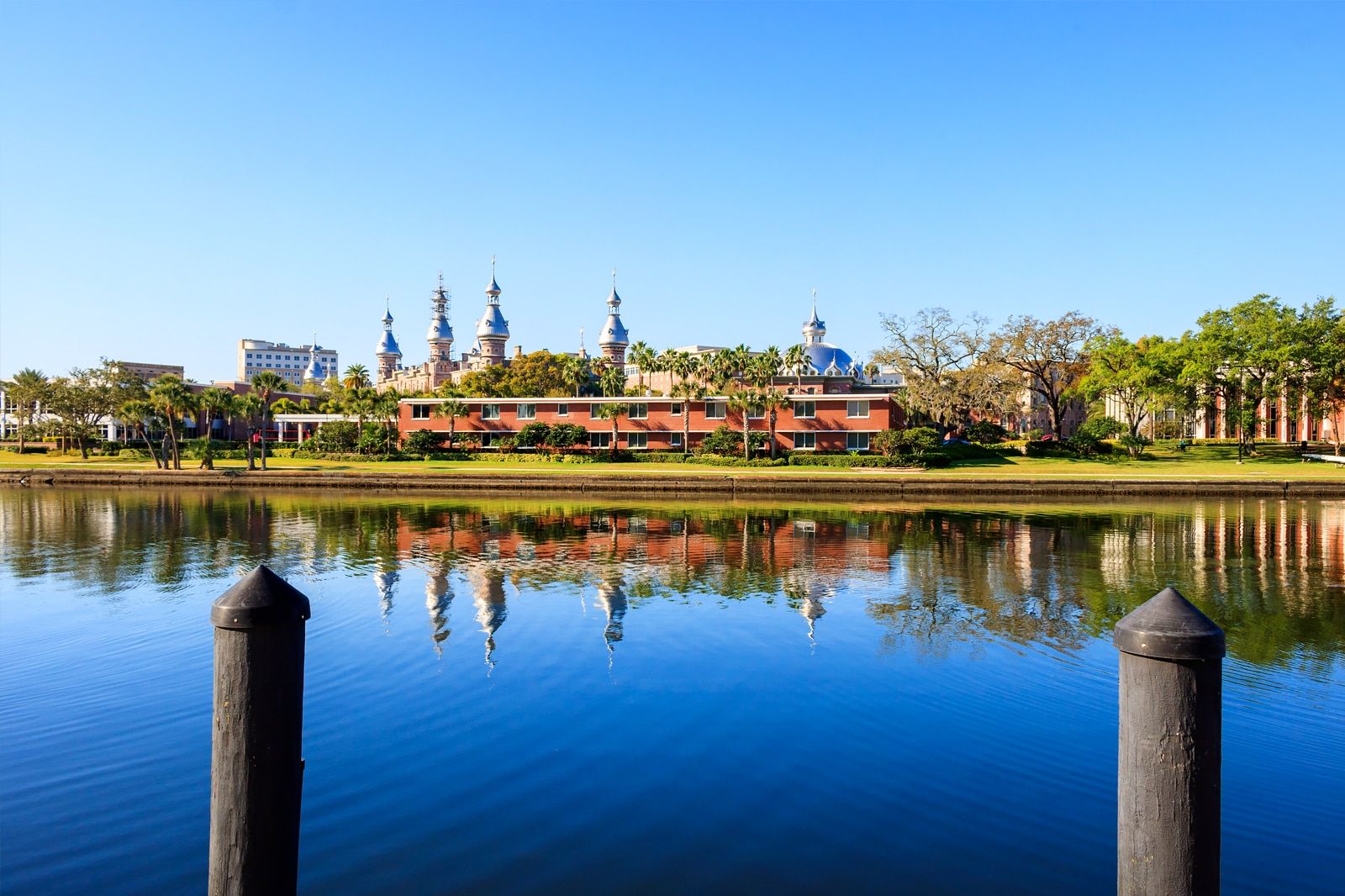 Things to Do in Tampa