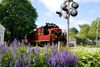 photo by <a href="https://www.flickr.com/photos/28267496@N00/3687325152/" target="_blank" rel="noreferrer">Mark Petersc</a> (<a href="https://creativecommons.org/licenses/by/2.0/" target="_blank" rel="noreferrer">CC BY 2.0</a>)  modified