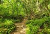 Micheongol Nature Recreation Forest