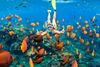 Best Snorkeling Beaches in Phuket