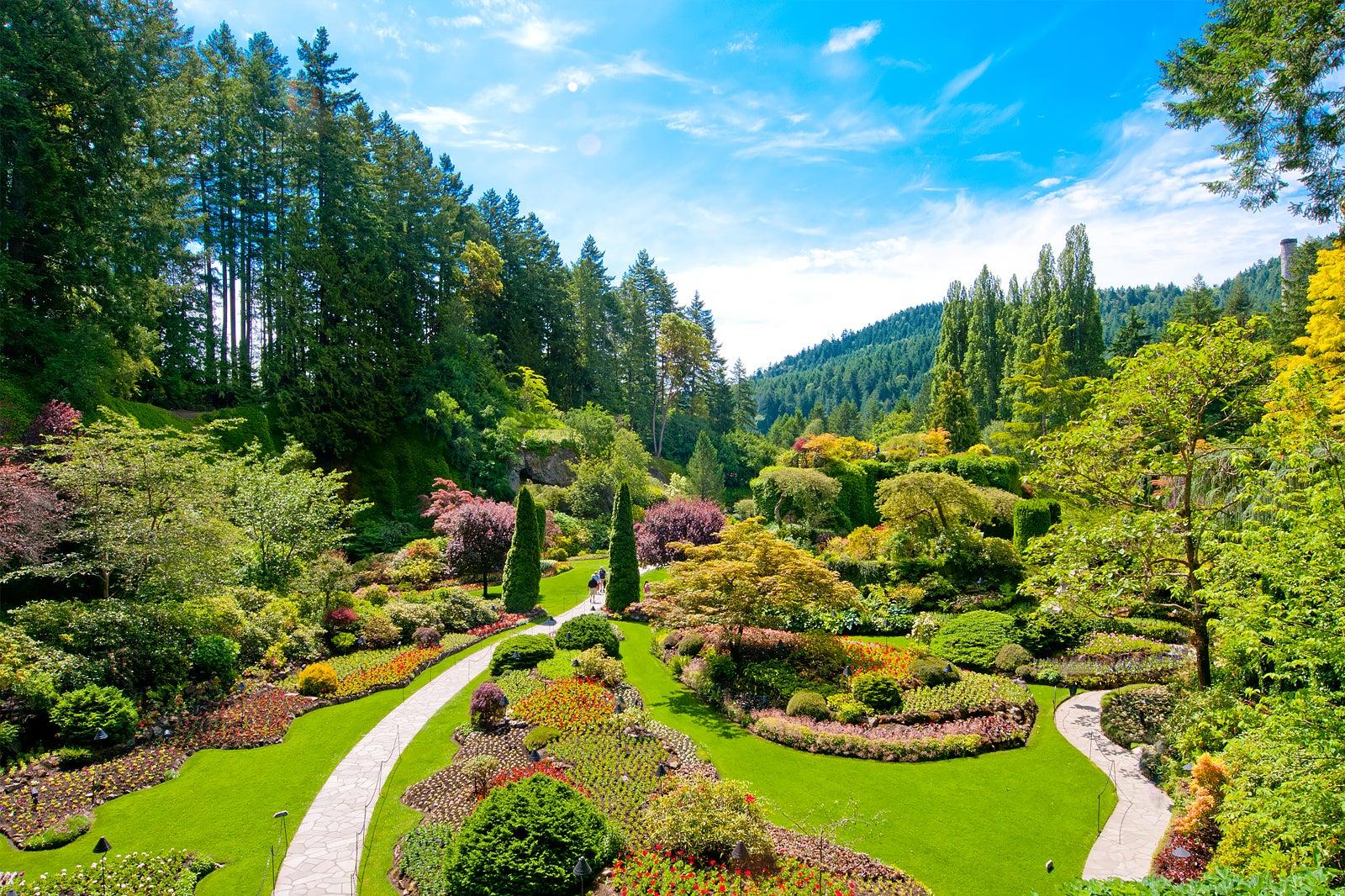 Free Things to Do in Victoria, British Columbia