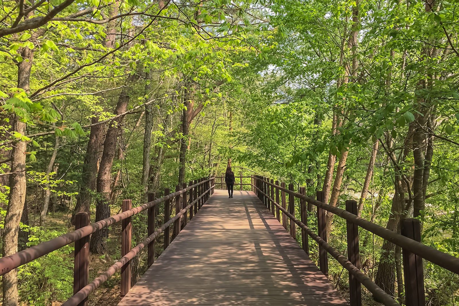 10 Things to Do in Goseong on a Small Budget 