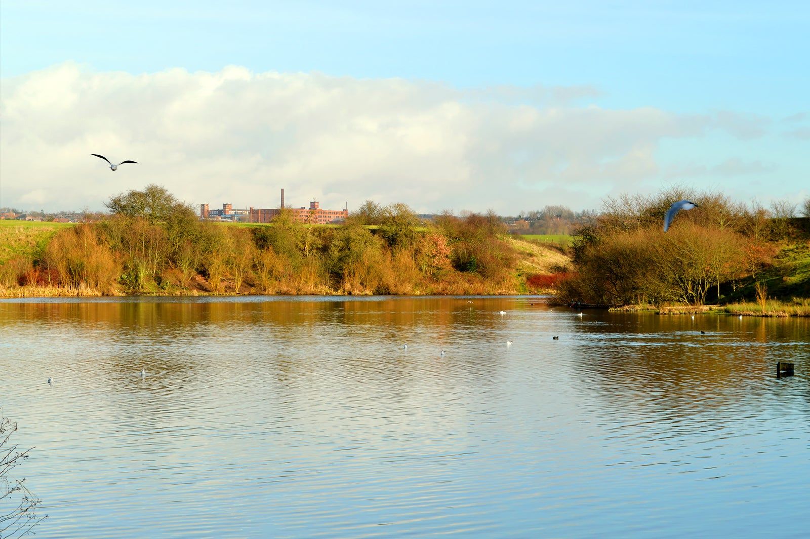 Crime lake at Daisy Nook Country Park in Manchester
