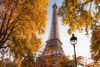 The Eiffel tower framed by vibrant autumnal foliage.