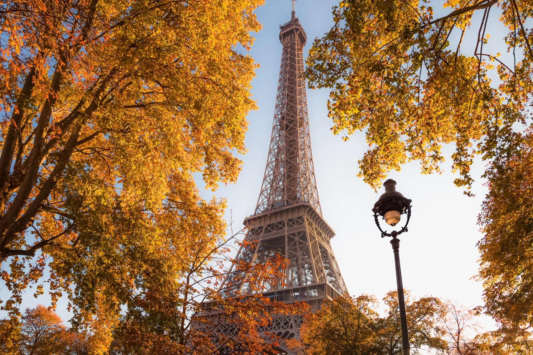 The Eiffel tower framed by vibrant autumnal foliage.