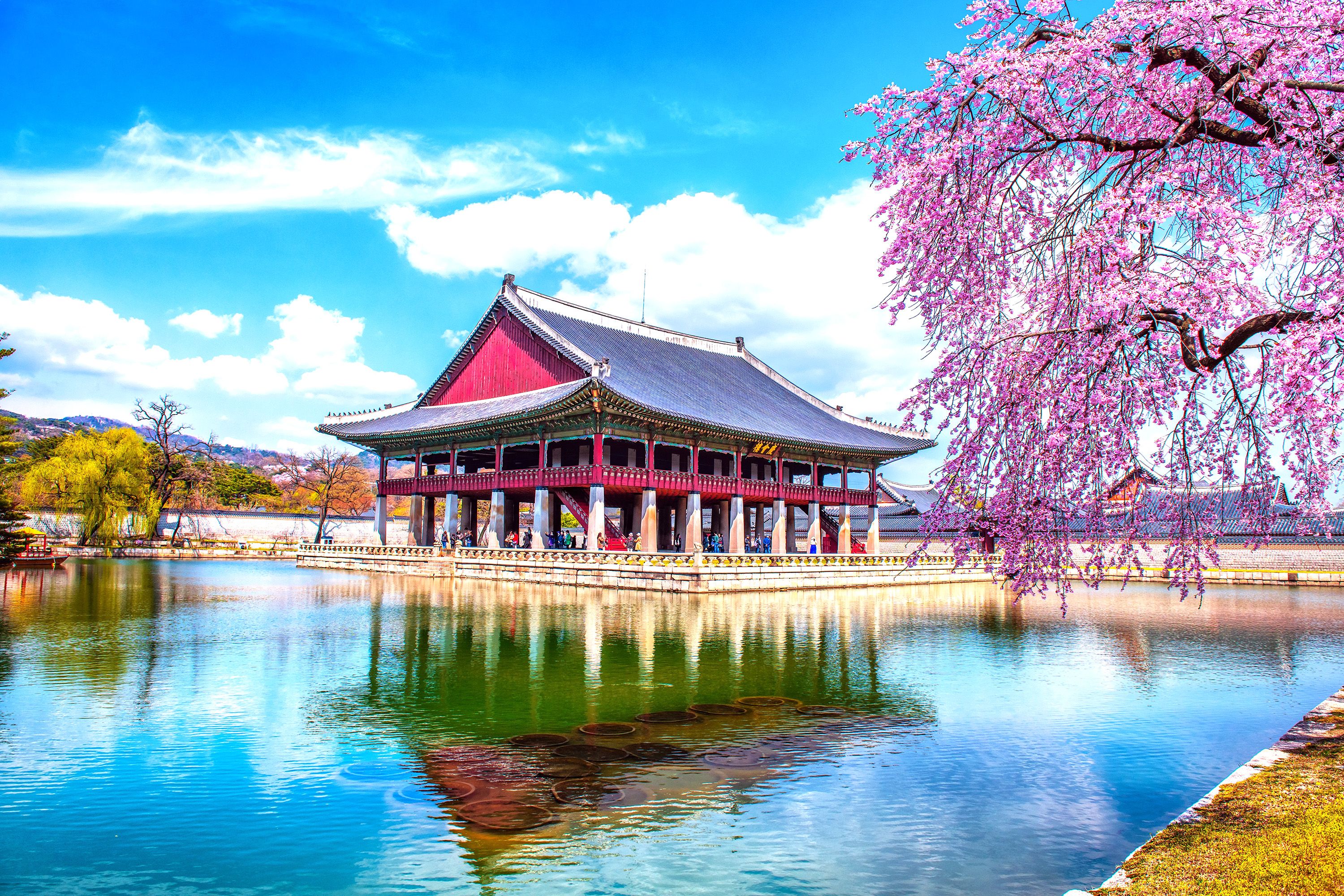 Mistakes People Make When Visiting Seoul
