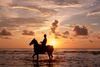 Horseback Riding in Bali