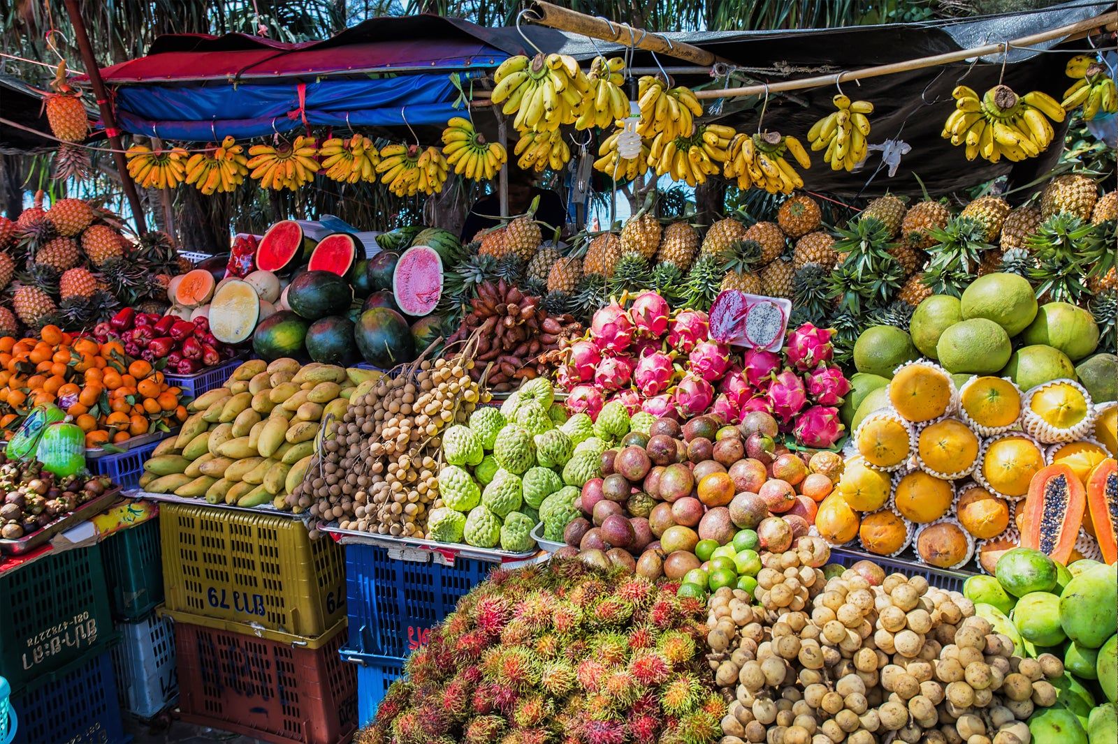 Amazing Thai Fruits