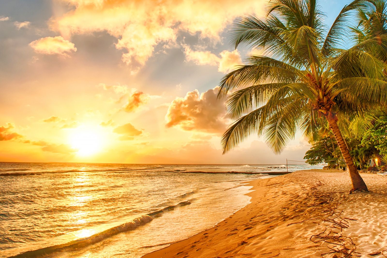 Best Things to Do After Dinner in Barbados