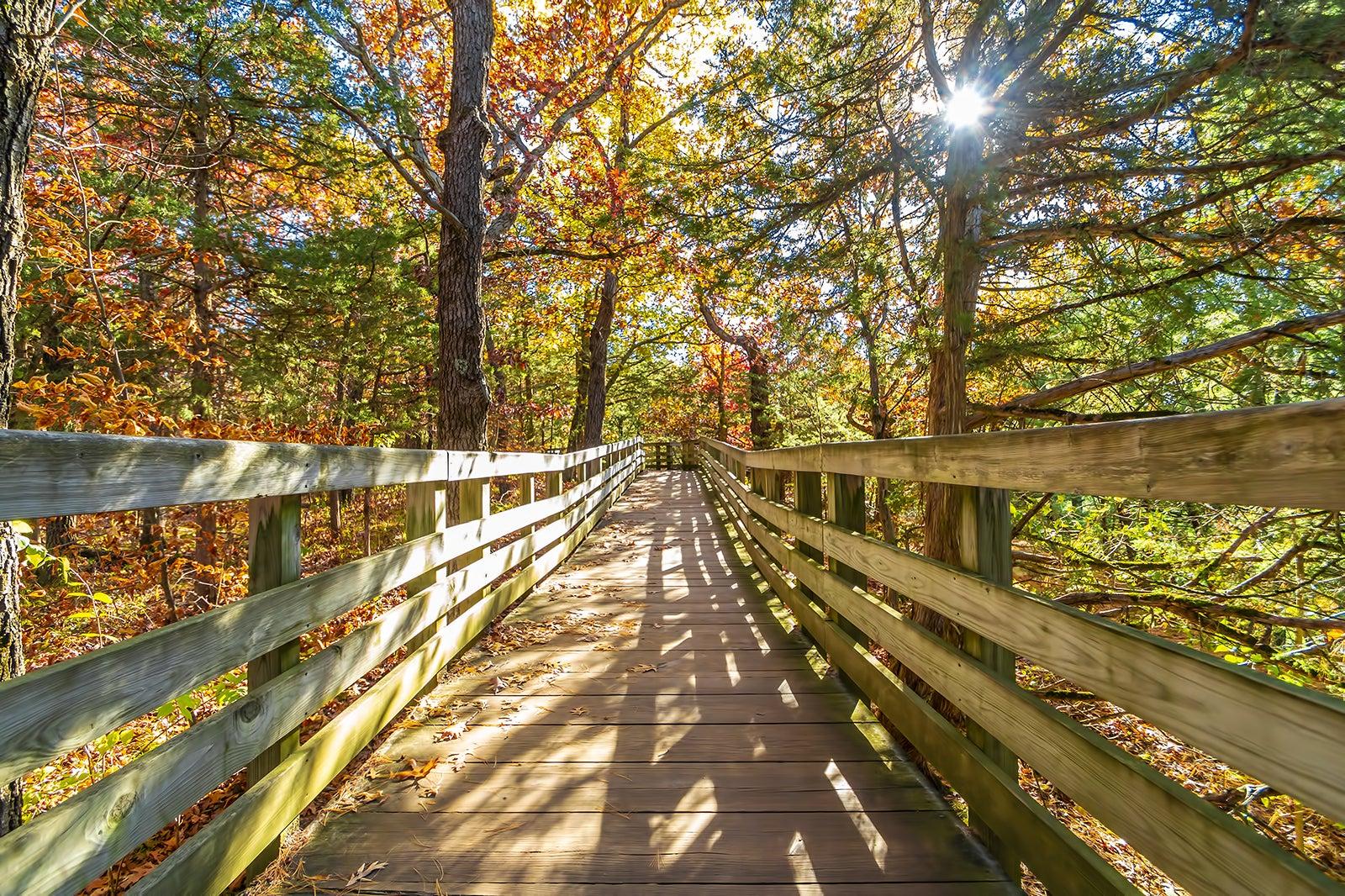 10 Best Road Trips near Chicago