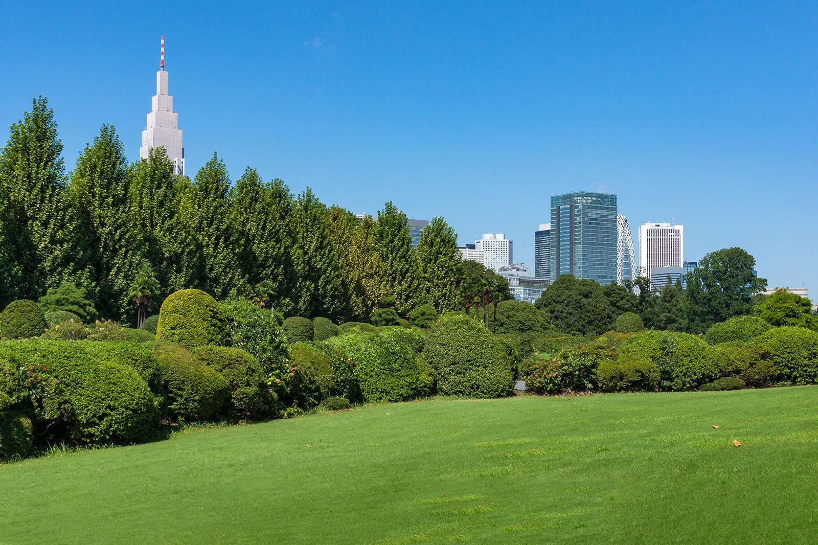 新宿御苑