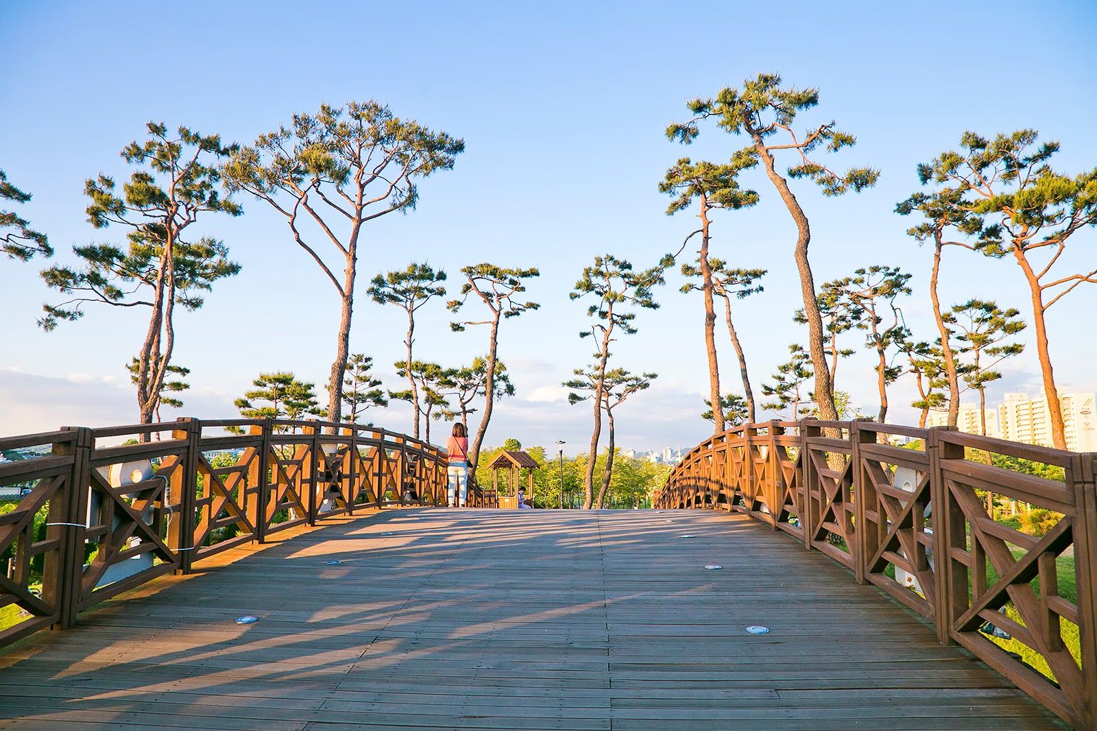 Best Family Spots in Daejeon
