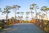 Best Family Spots in Daejeon