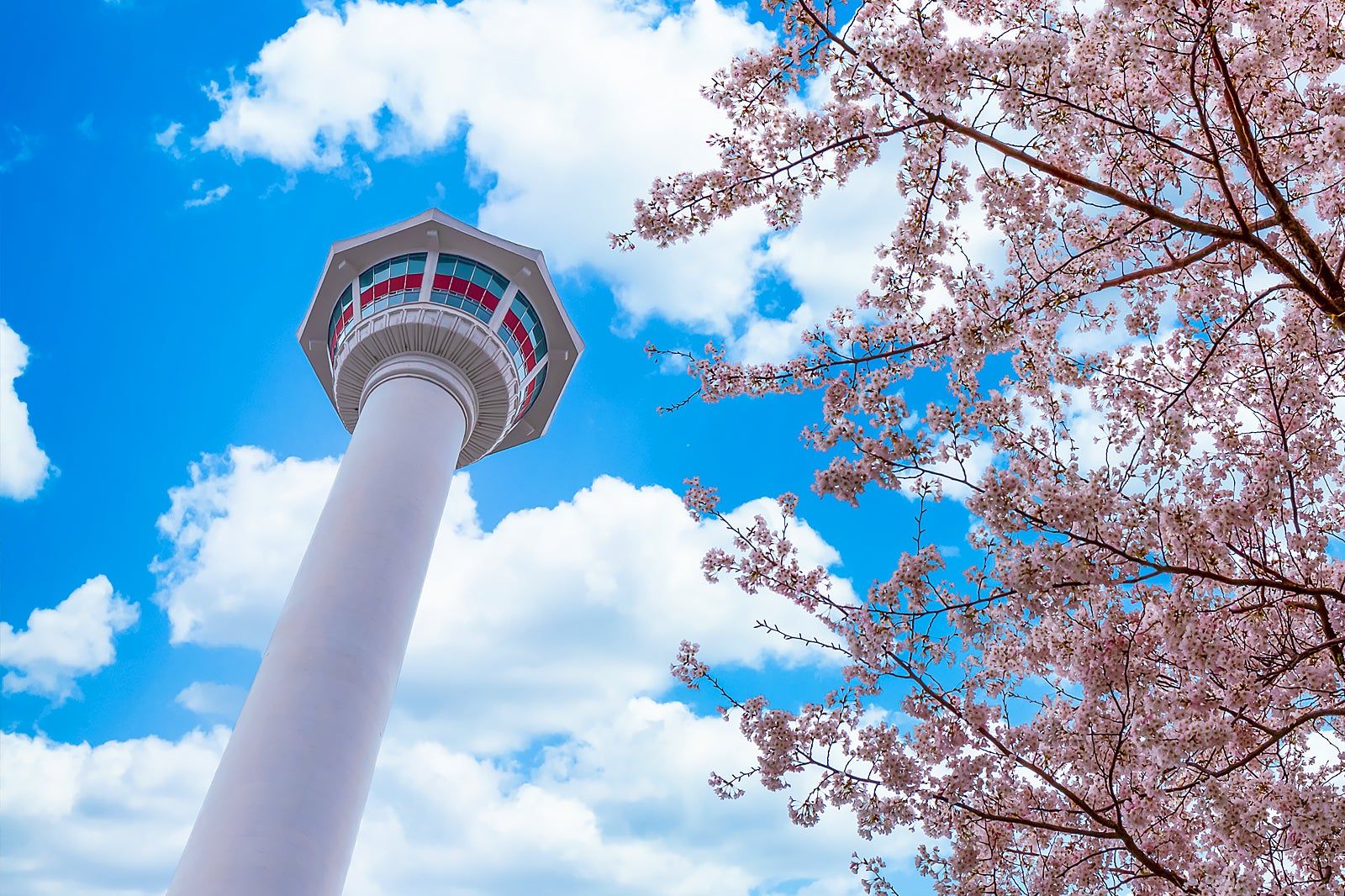 Most Instagrammable Places in Busan