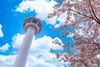 Most Instagrammable Places in Busan
