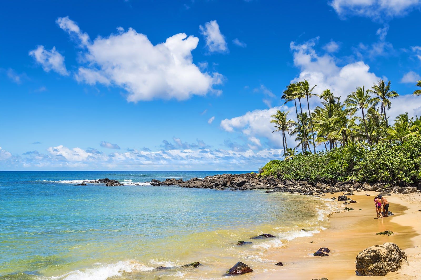 Turtle Beach aka Laniakea Beach near Honolulu