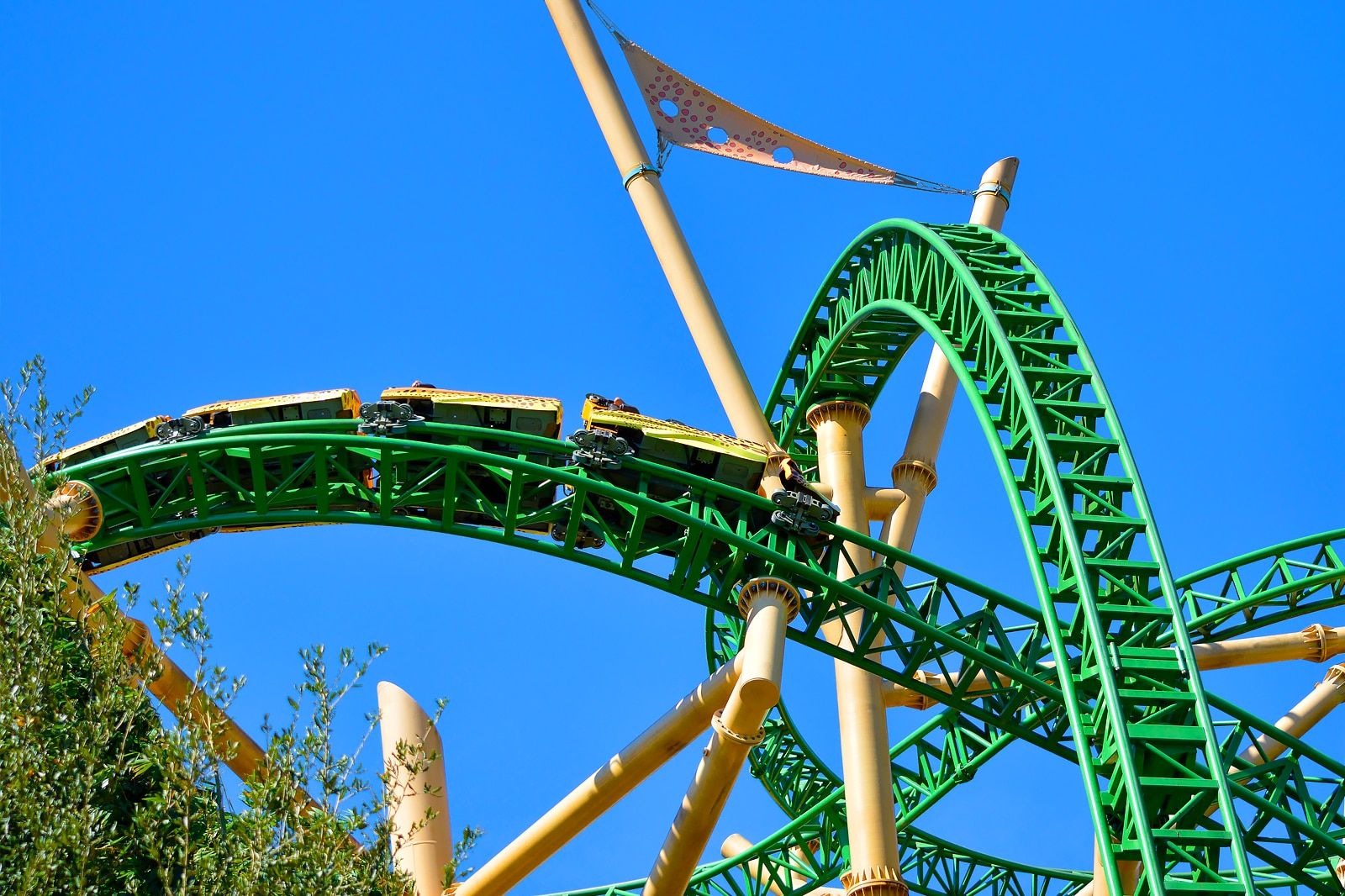 Best Family Things to Do in Tampa