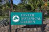 Foster Botanical Garden