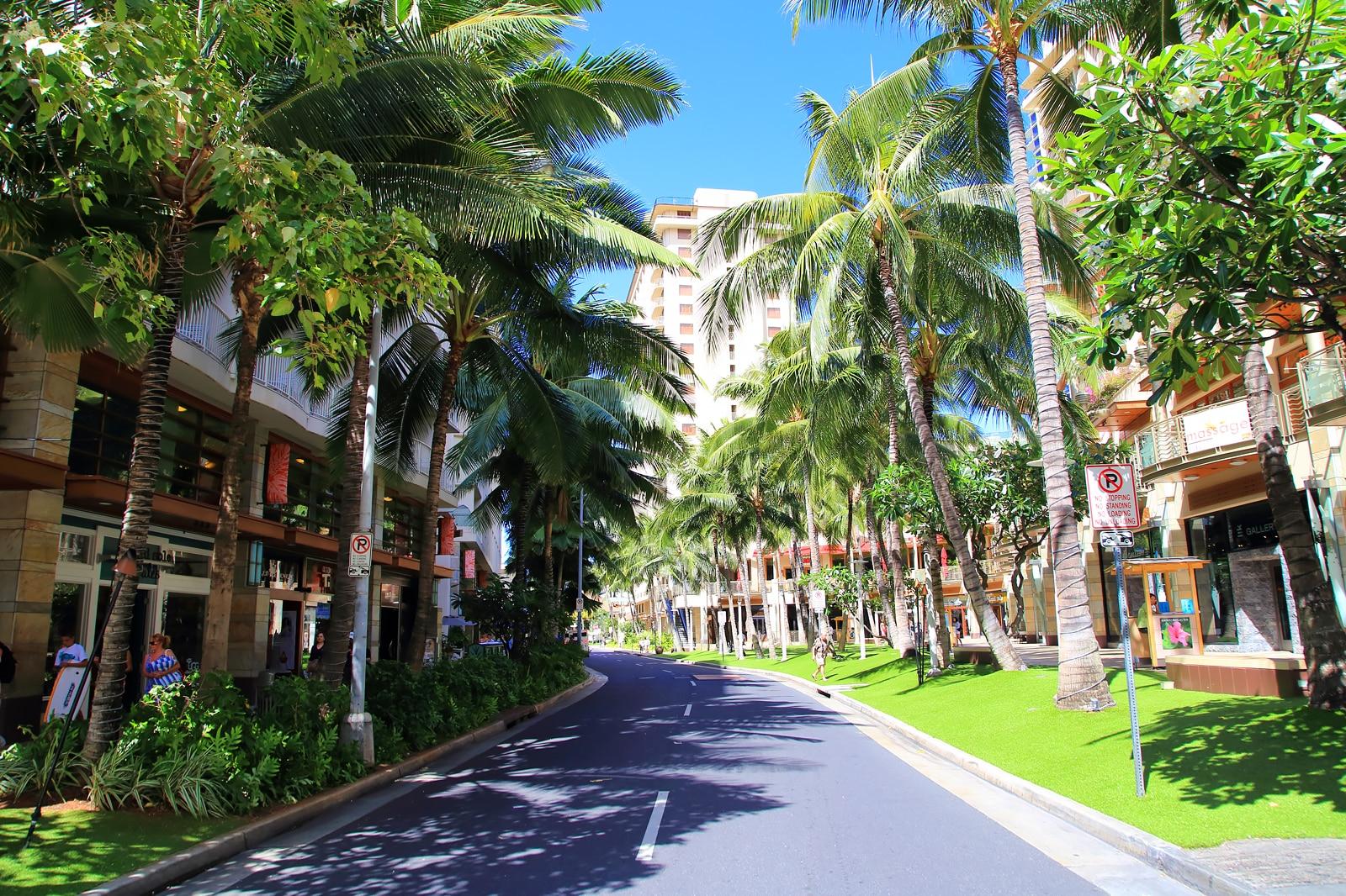 Most Popular Neighbourhoods in Honolulu