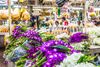 Flower market in the Old Town