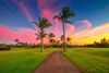Sunset with pink and yellow and palm trees.