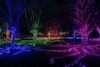 Christmas light show at a garden