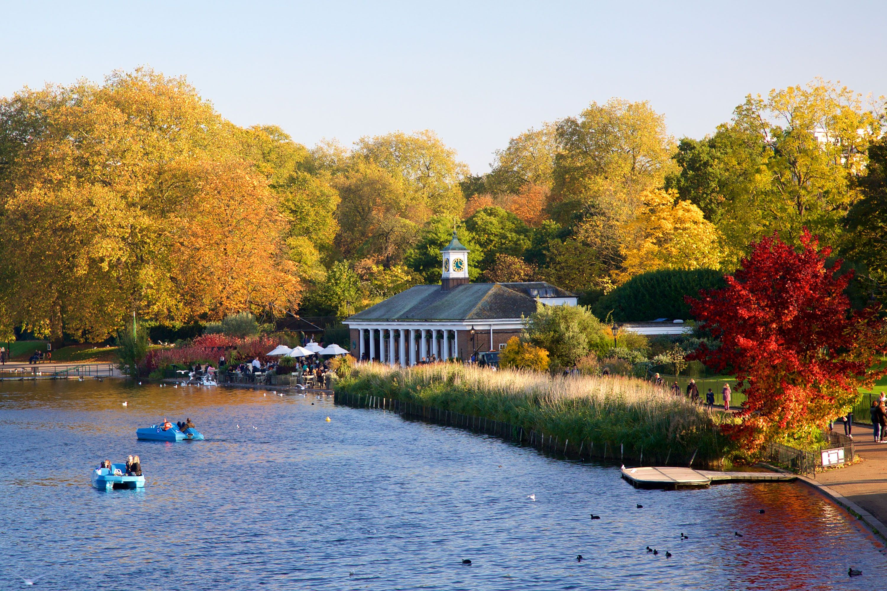 Yellow, orange and red trees surround a lake.