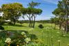 Flowers with golf greens.