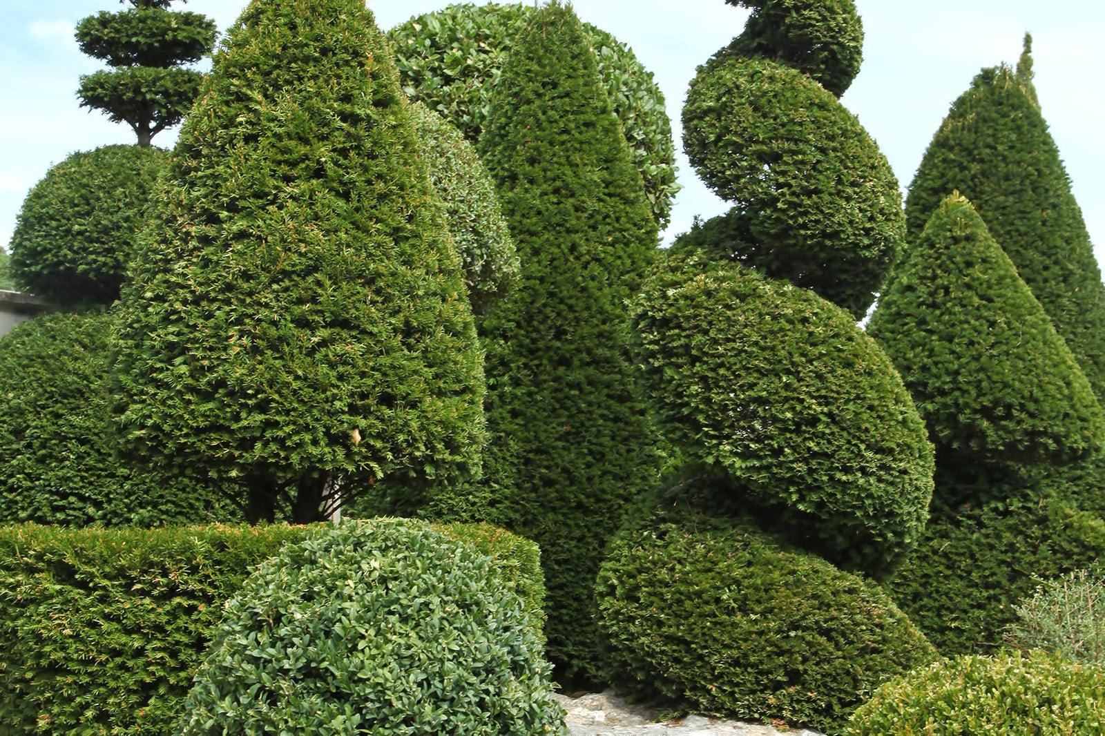Harper’s Topiary Garden in San Diego