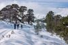 Best Ski Resorts in Scotland