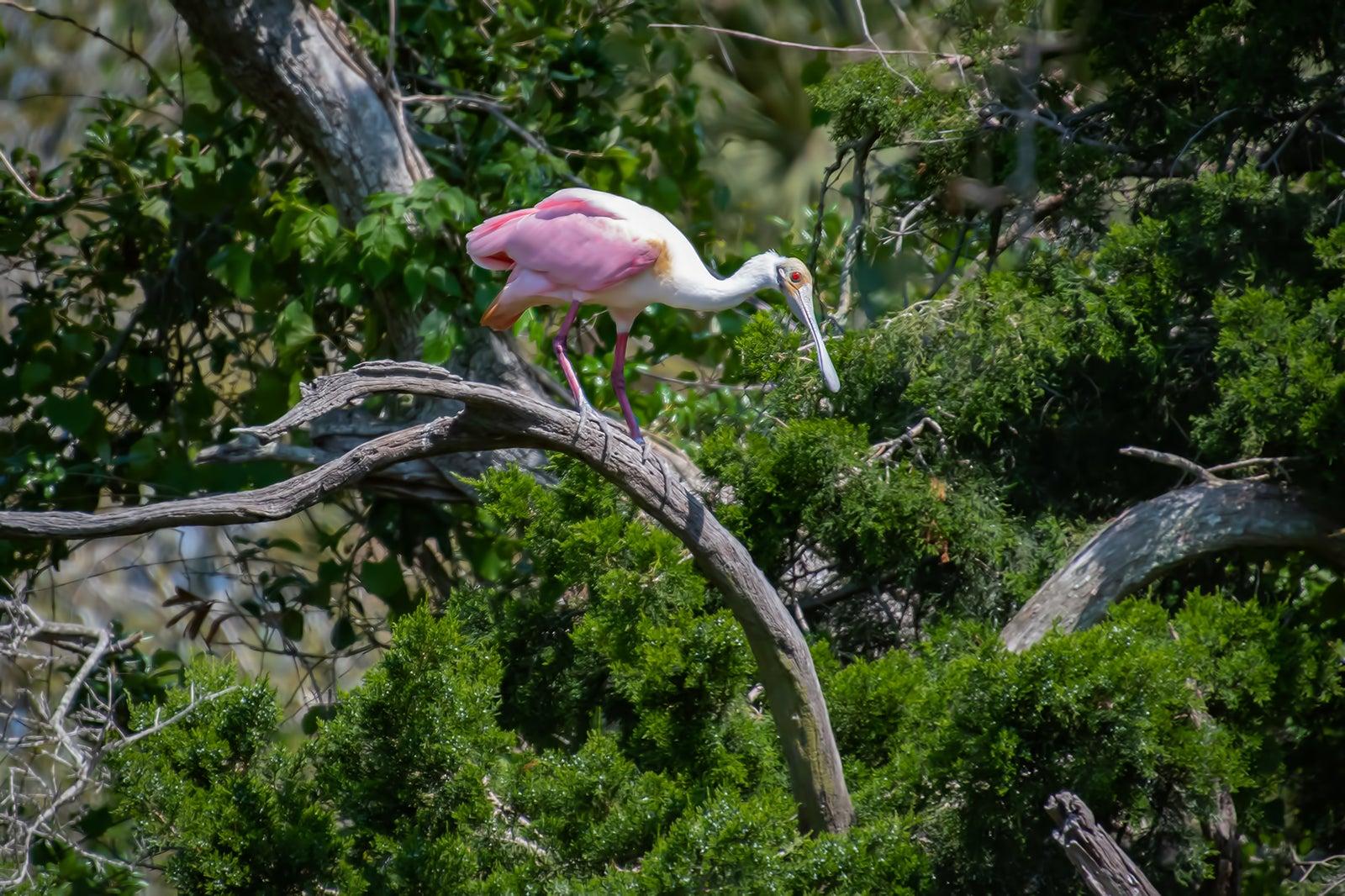 10 Places Off the Beaten Track in St. Augustine