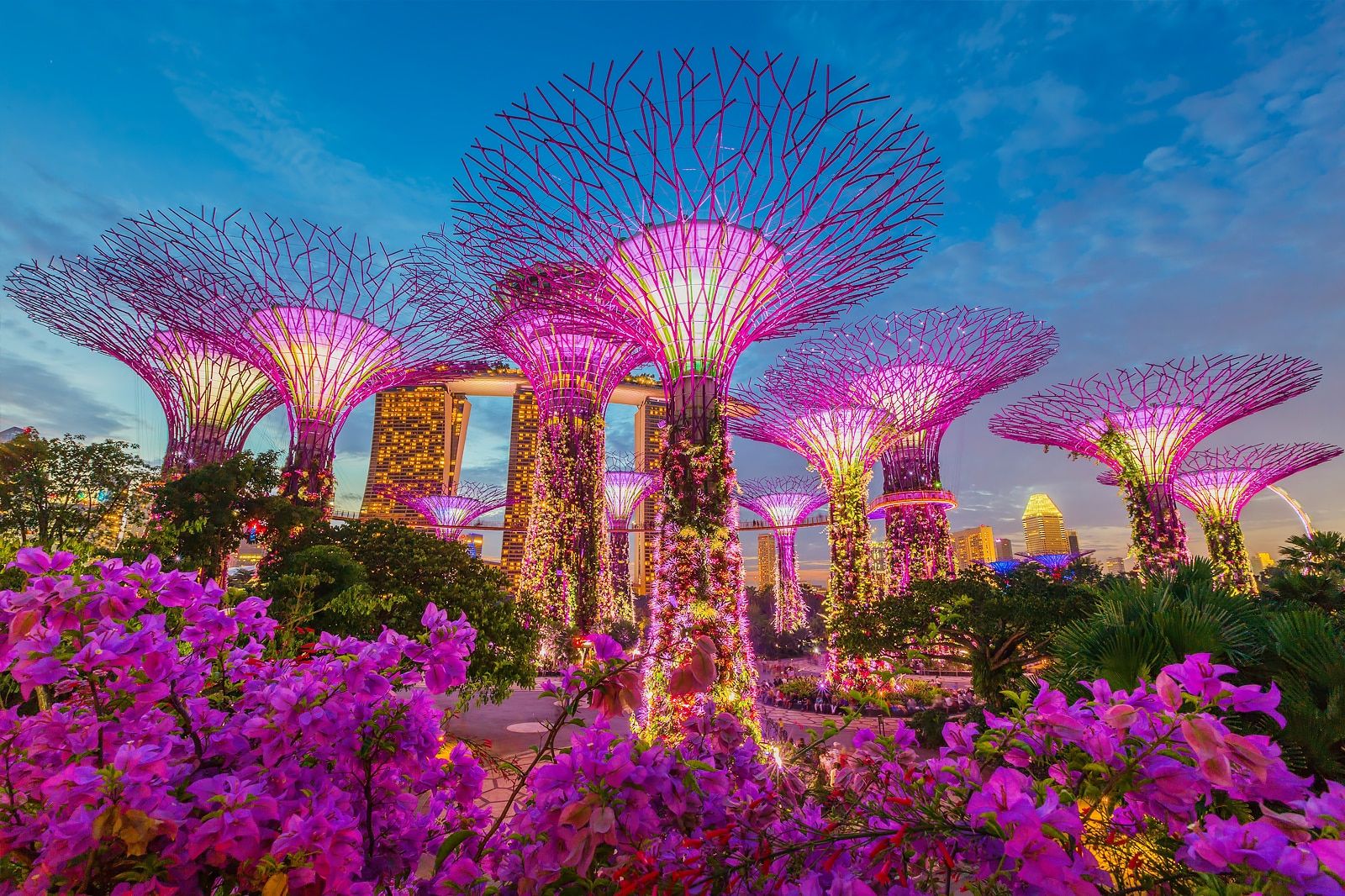 Best Romantic Things to Do in Singapore