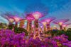 Best Romantic Things to Do in Singapore