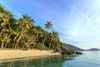 Palm trees at Taling Ngam beach.