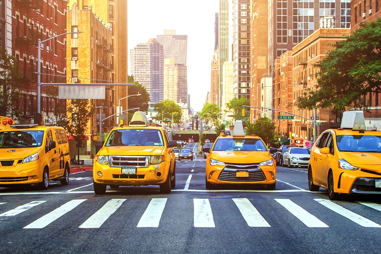 New York Travel Essentials