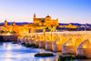 The Cordoba historic city with a castle and stone bridge at night.