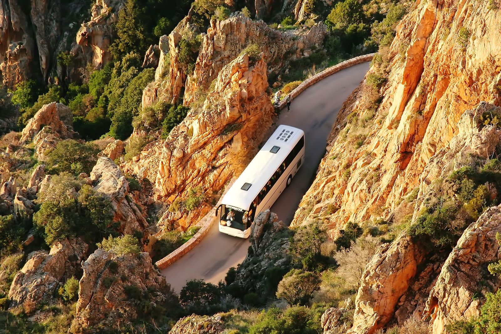 Corsica Travel Essentials