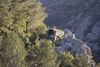 Foto de <a href="https://pixabay.com/photos/lycian-lycian-way-way-travel-1309827/" target="_blank" rel="noreferrer">Activedia</a> (<a href="https://creativecommons.org/share-your-work/public-domain/cc0/" target="_blank" rel="noreferrer">CC0</a>)  modificada