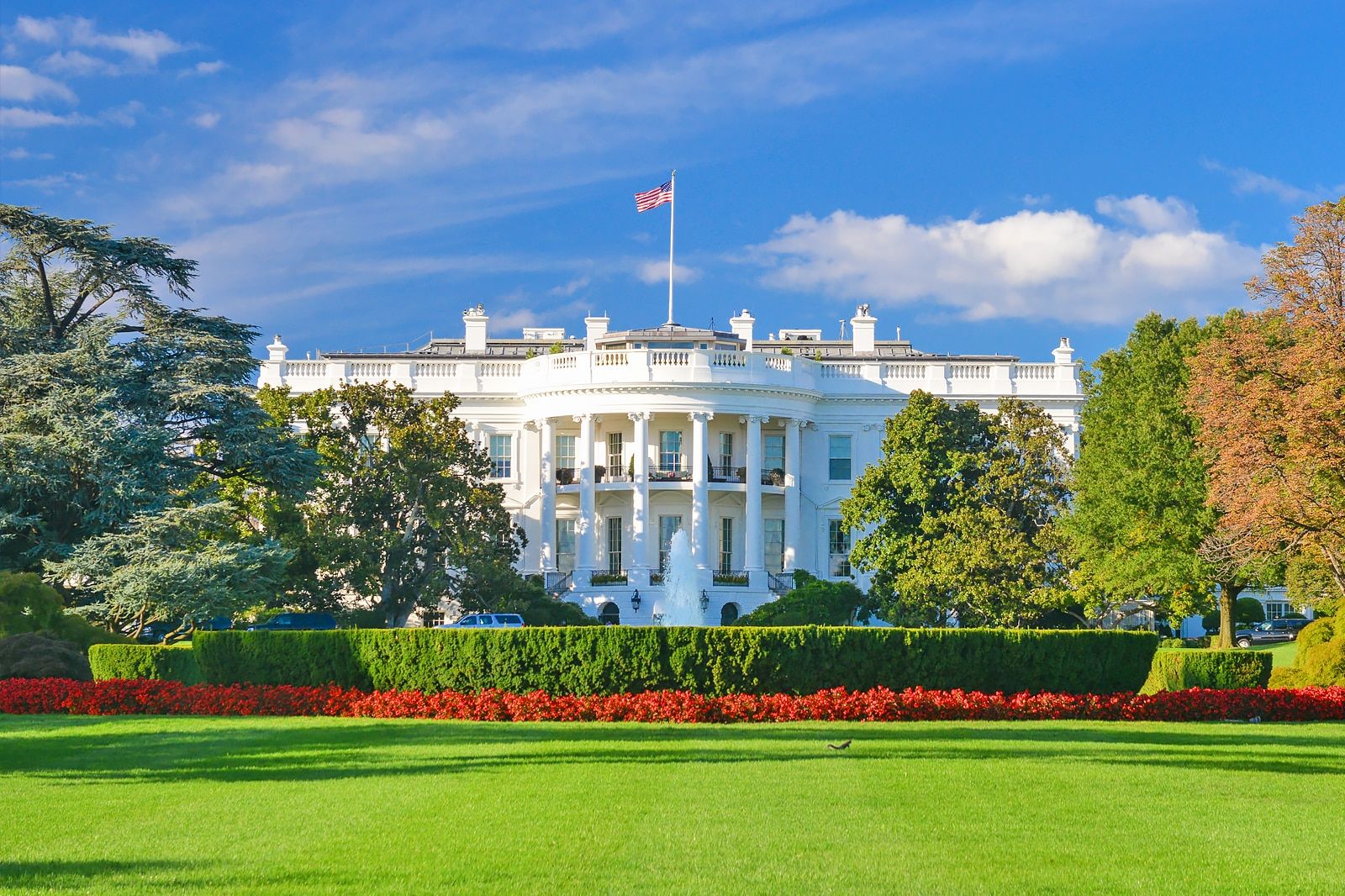 Best Things to Do in Washington DC