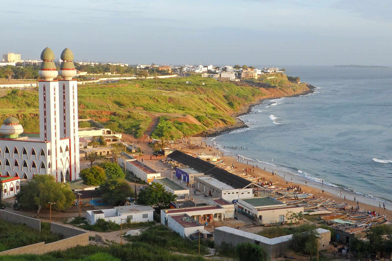 A green coastline with a beach.
