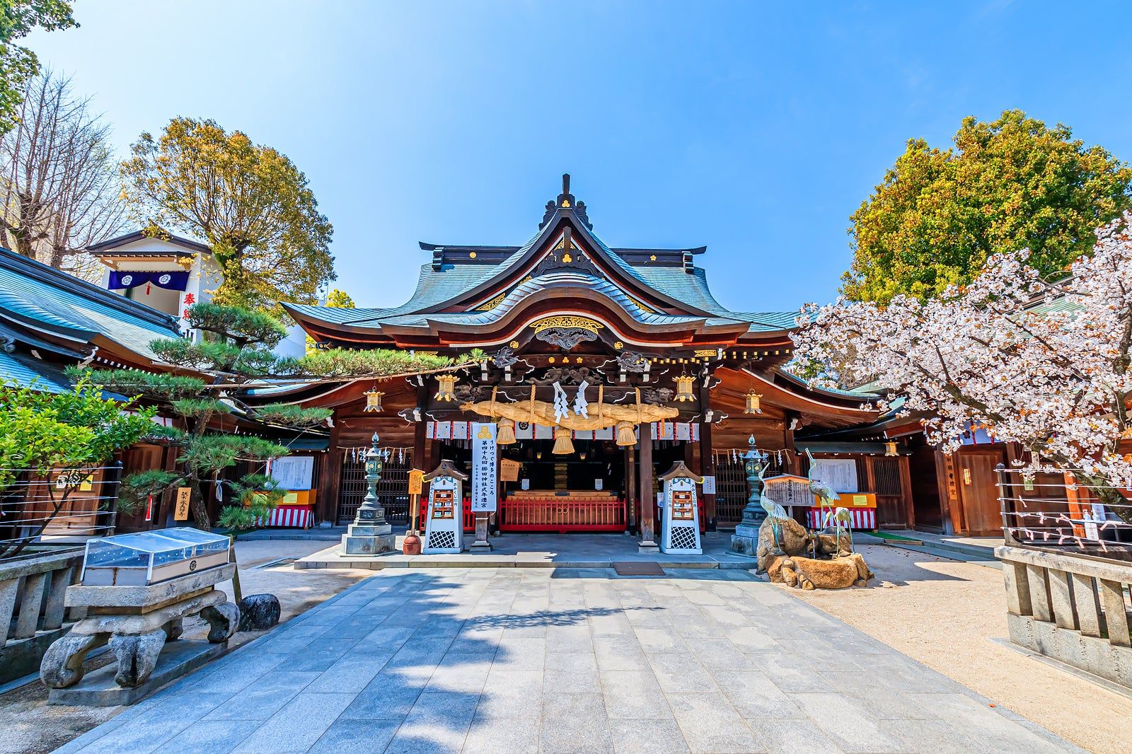 Best Things to Do in Fukuoka