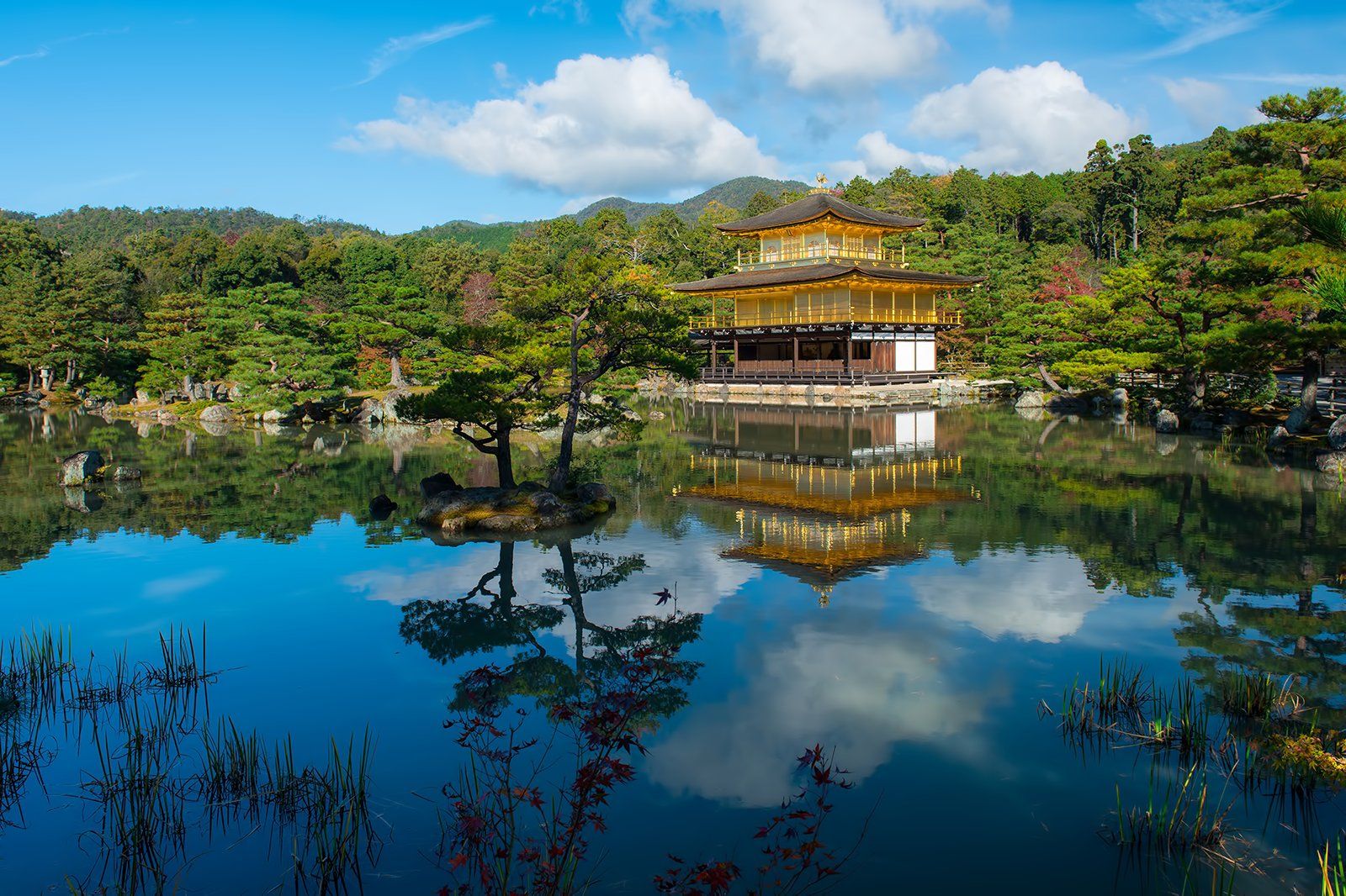 Kinkakuji Temple - the Golden Pavilion