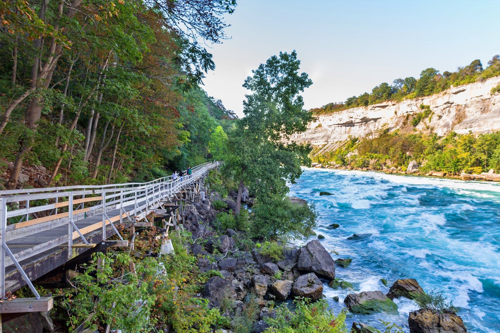 Whirlpool Rapids Walker