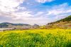 Beautiful Islands in Korea Perfect for Slow Walks