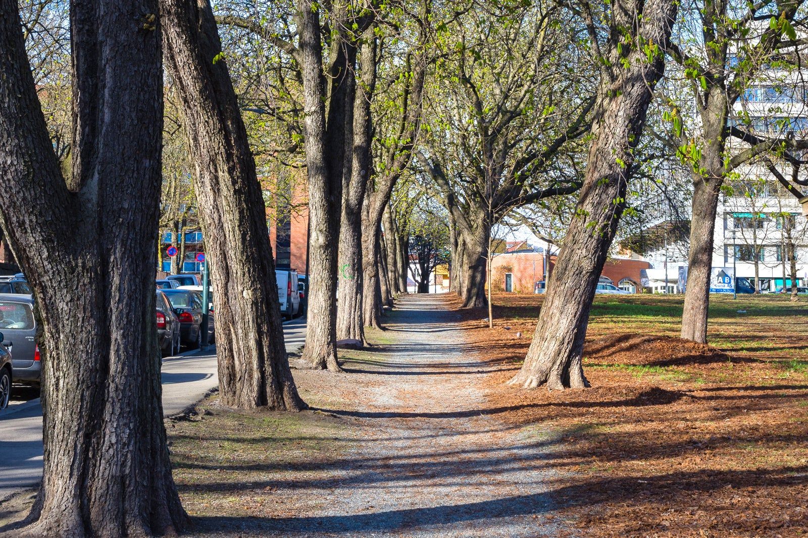 Sofienbergparken i Oslo