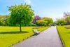 Best Parks in Dublin