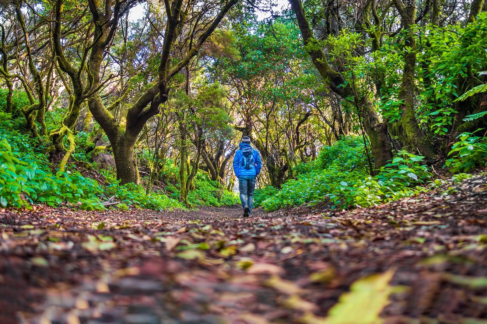 10 Things to Do Off the Beaten Track in the Canary Islands