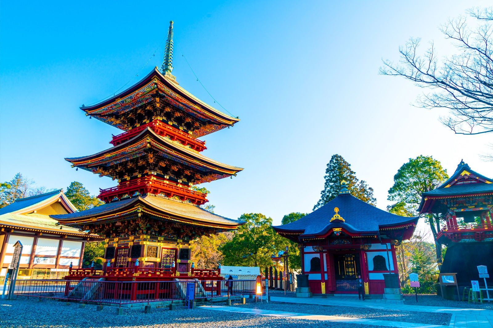 Best Places Locals Love to Go in Chiba