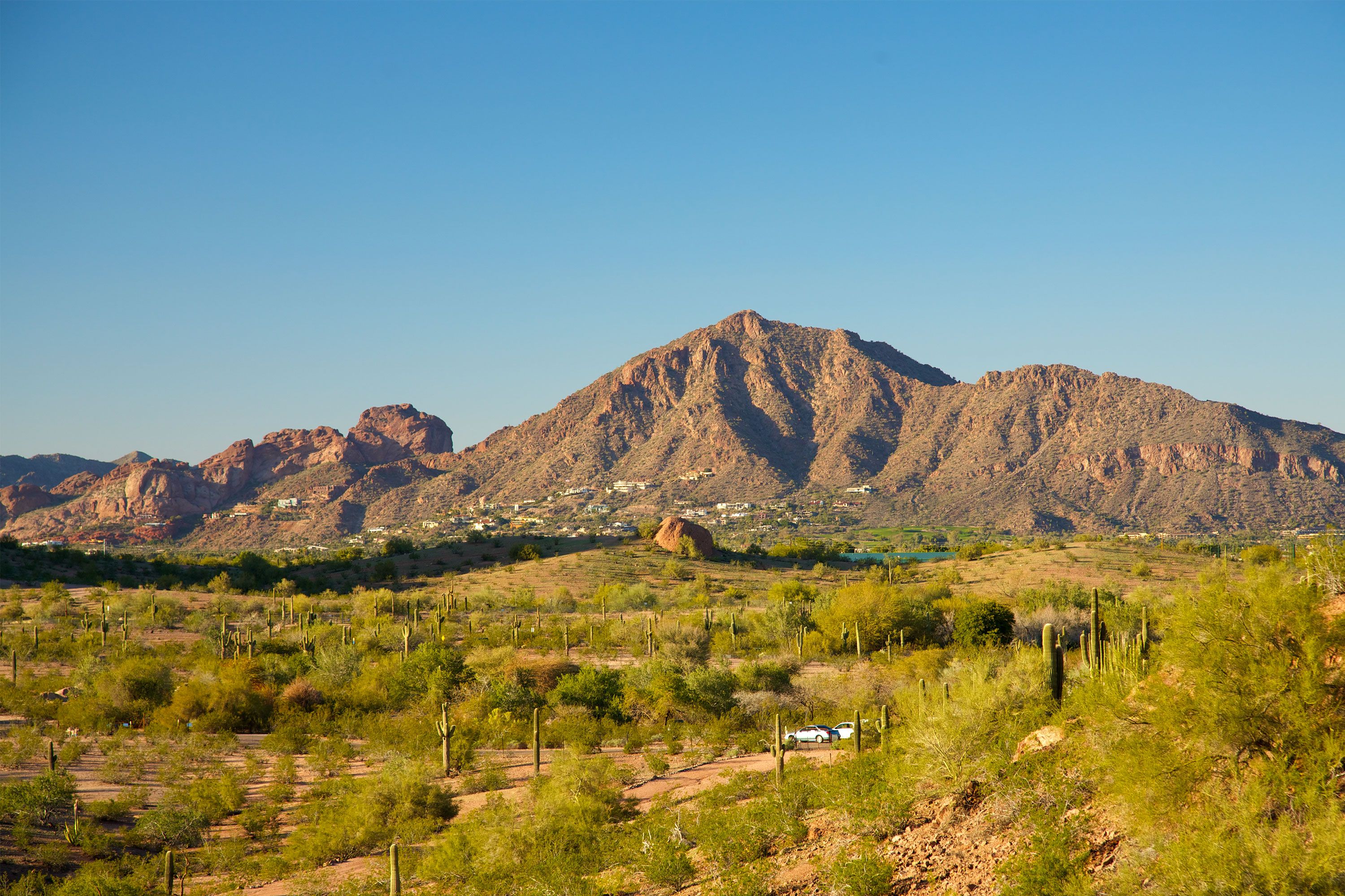 A mountain rises above desert vegetation under a clear blue sky.