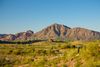 A mountain rises above desert vegetation under a clear blue sky.